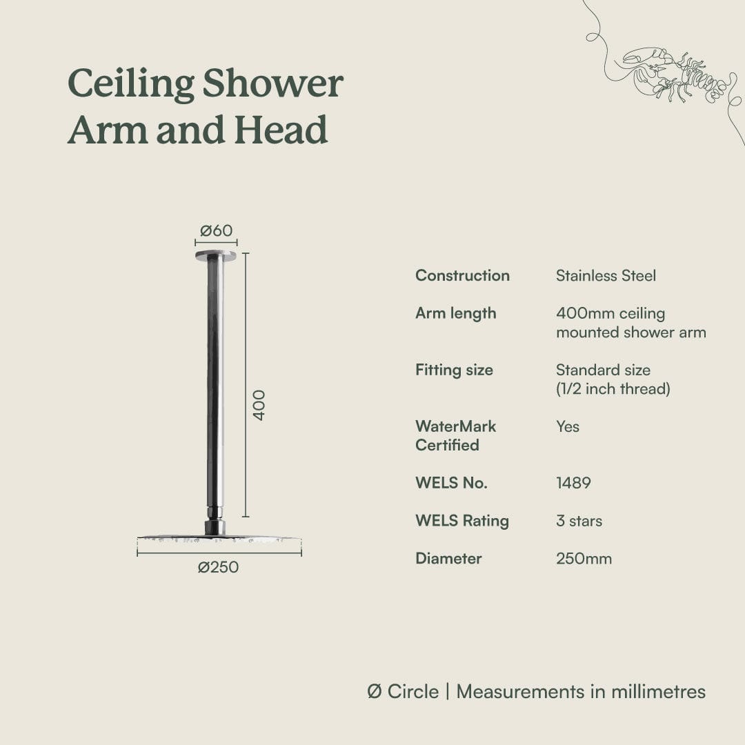 Brushed Brass Ceiling Shower Arm and Shower Head - Modern Bathroom Fixture for Spa-Like Shower Experience