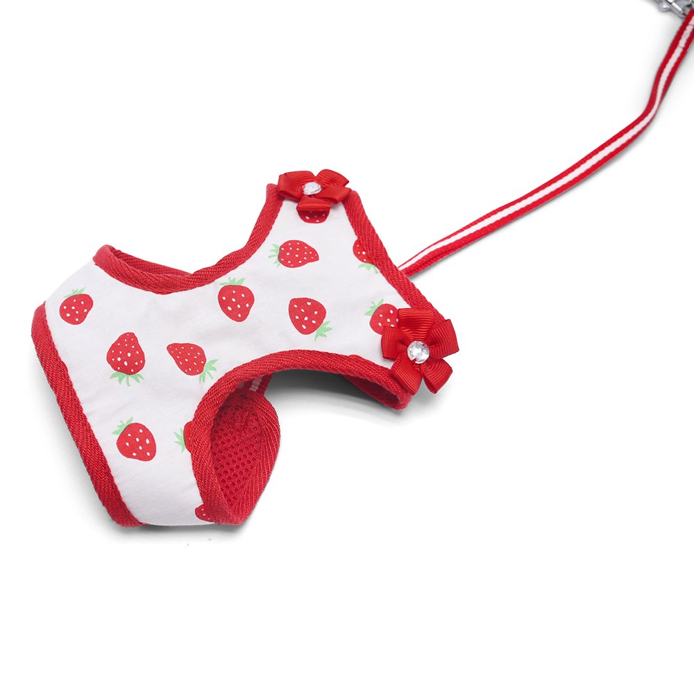 EasyGO Strawberry Harness for Small Dogs - Adjustable Pet Vest with Leash Attachment - Perfect for Walking, Training & Outdoor Adventures