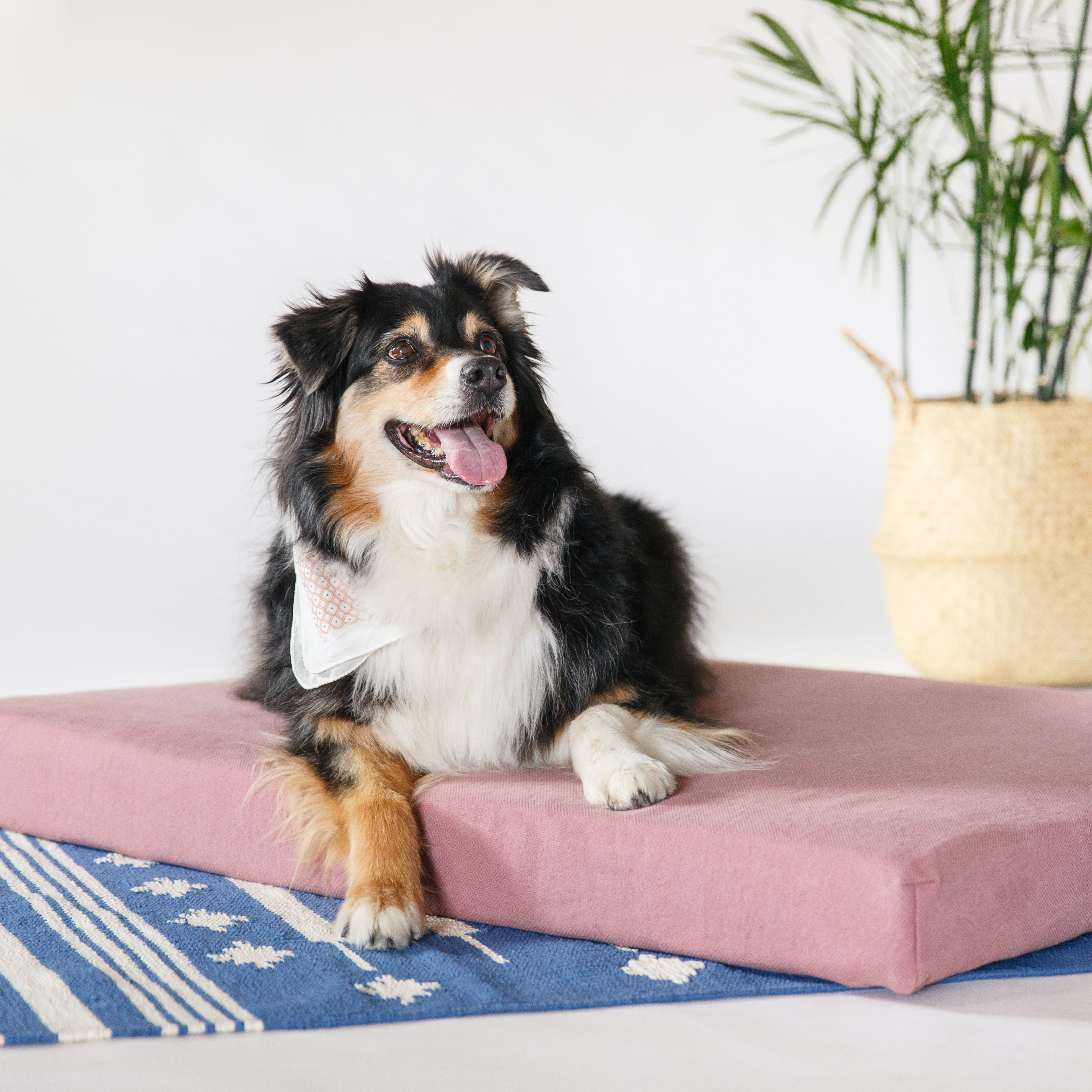 Organic Dog Bed with Pillow Bolster - Orthopedic Support for Large & Small Dogs - Washable & Non-Slip Pet Bed - Perfect for Crates, Floors & Home Use