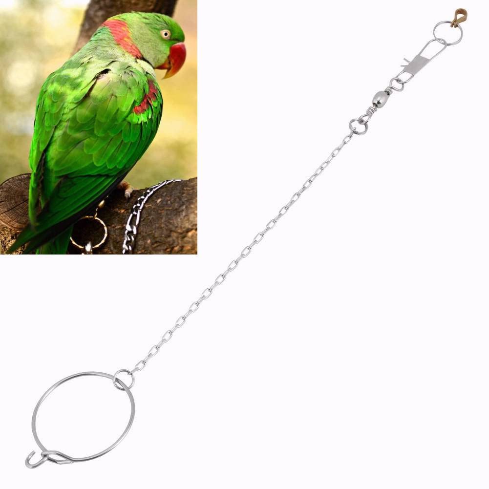 Stainless Steel Parrot Foot Ring & Anklet Chain - Adjustable Bird Leash for Cockatiels, Sun Conures & Pet Birds - Safe & Durable Bird Stand Accessory for Training, Playtime & Outdoor Activities