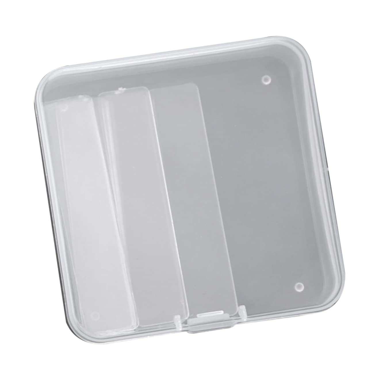 LALAFINA 2 Sets Empty Nail Tips Container - Nail Art Display Stand & Fake Nails Storage Case - Keep Artificial Nails Organized & Accessible - Perfect for Salon, Home Manicure & Nail Art Enthusiasts