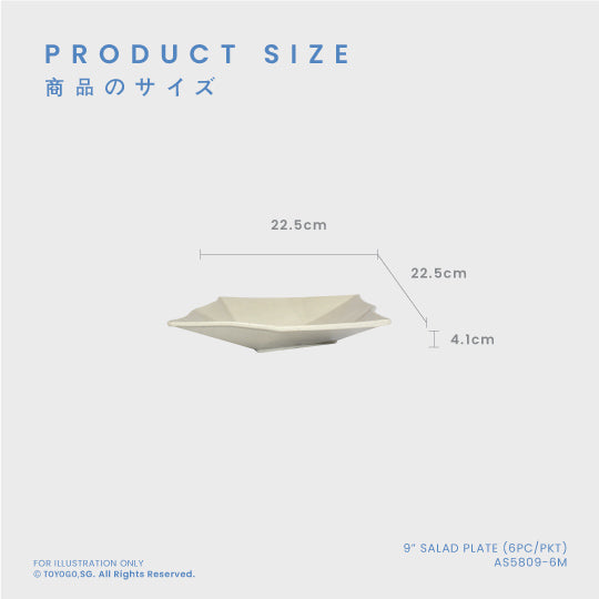 9-Piece Salad Plate Set - 12 Sets per Carton (AS5809 6M) - Perfect for Dinner Parties, Picnics & Restaurant Use