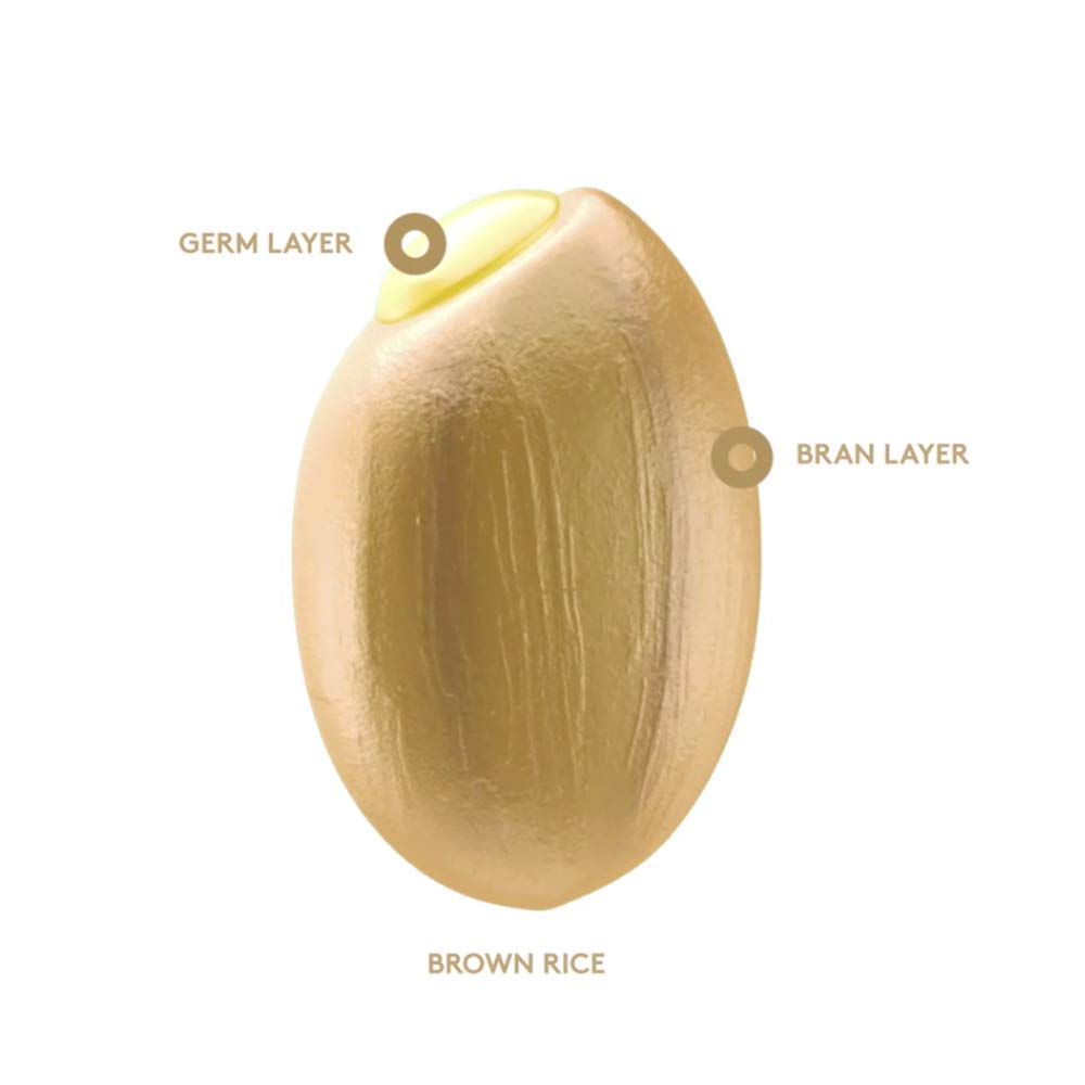Premium Kinmemai Brown Rice from Japan - Artisanal Short Grain, No Rinse Needed, Perfect for Sushi, Onigiri & Healthy Meals (2.2 lbs) - Ideal for Home Cooking, Meal Prep & Japanese Cuisine Lovers