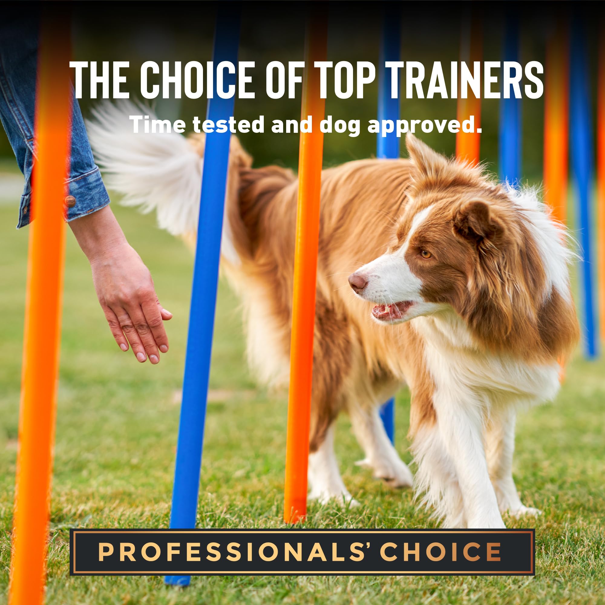 Cloud Star Tricky Trainers Soft & Chewy Dog Training Treats - Liver Flavor, 5 oz Pouch (130 Low Calorie Treats) | Perfect for Obedience Training, Positive Reinforcement & Behavior Modification