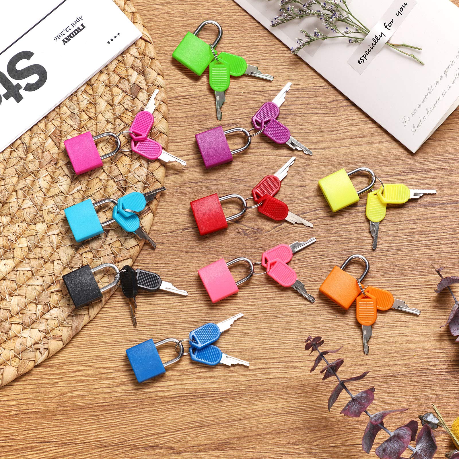10-Pack Mini Padlock Set - 1.25