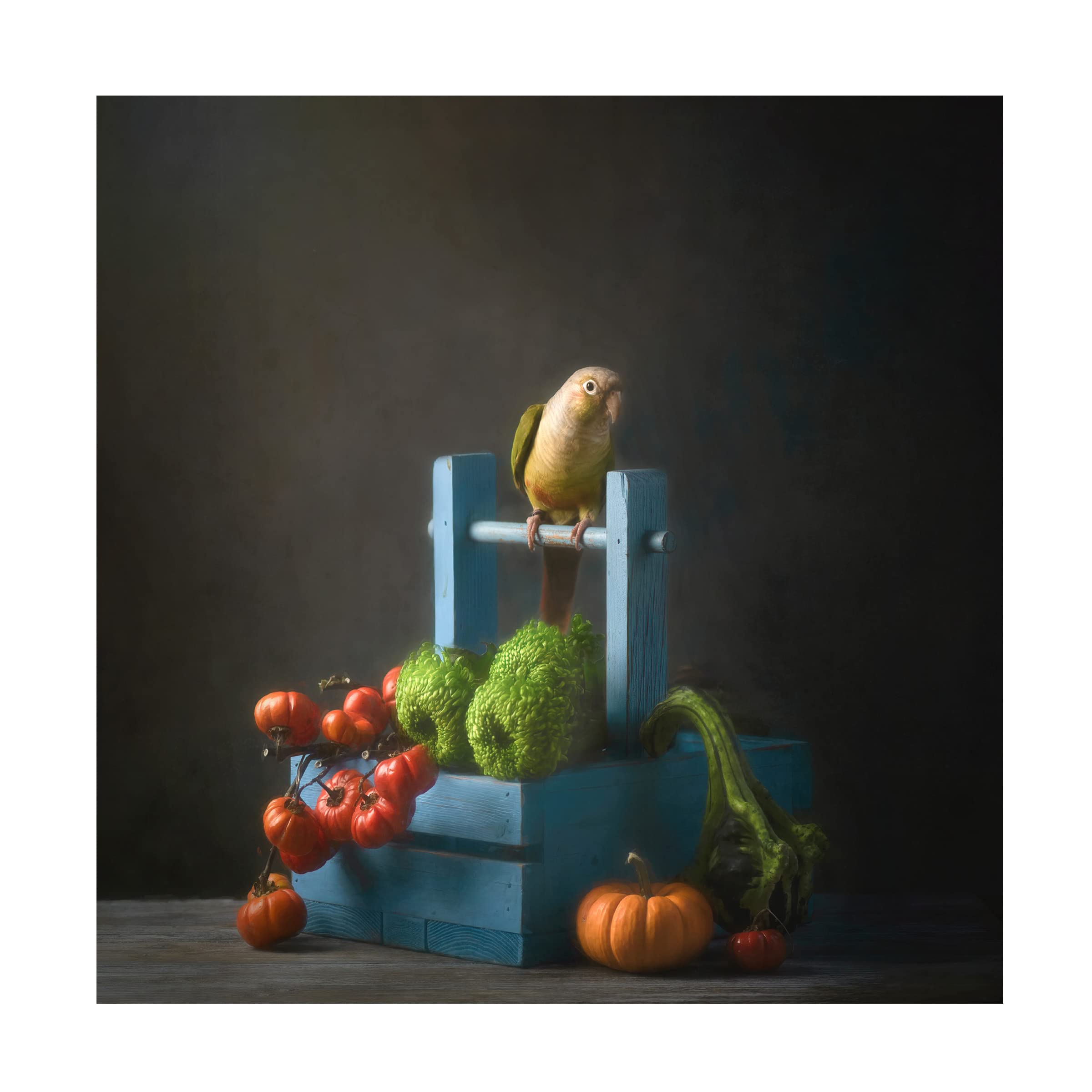 Trademark Fine Art 'Welcome Fall' Canvas Wall Art by Catherine W - Autumn Home Decor for Living Room, Bedroom & Office