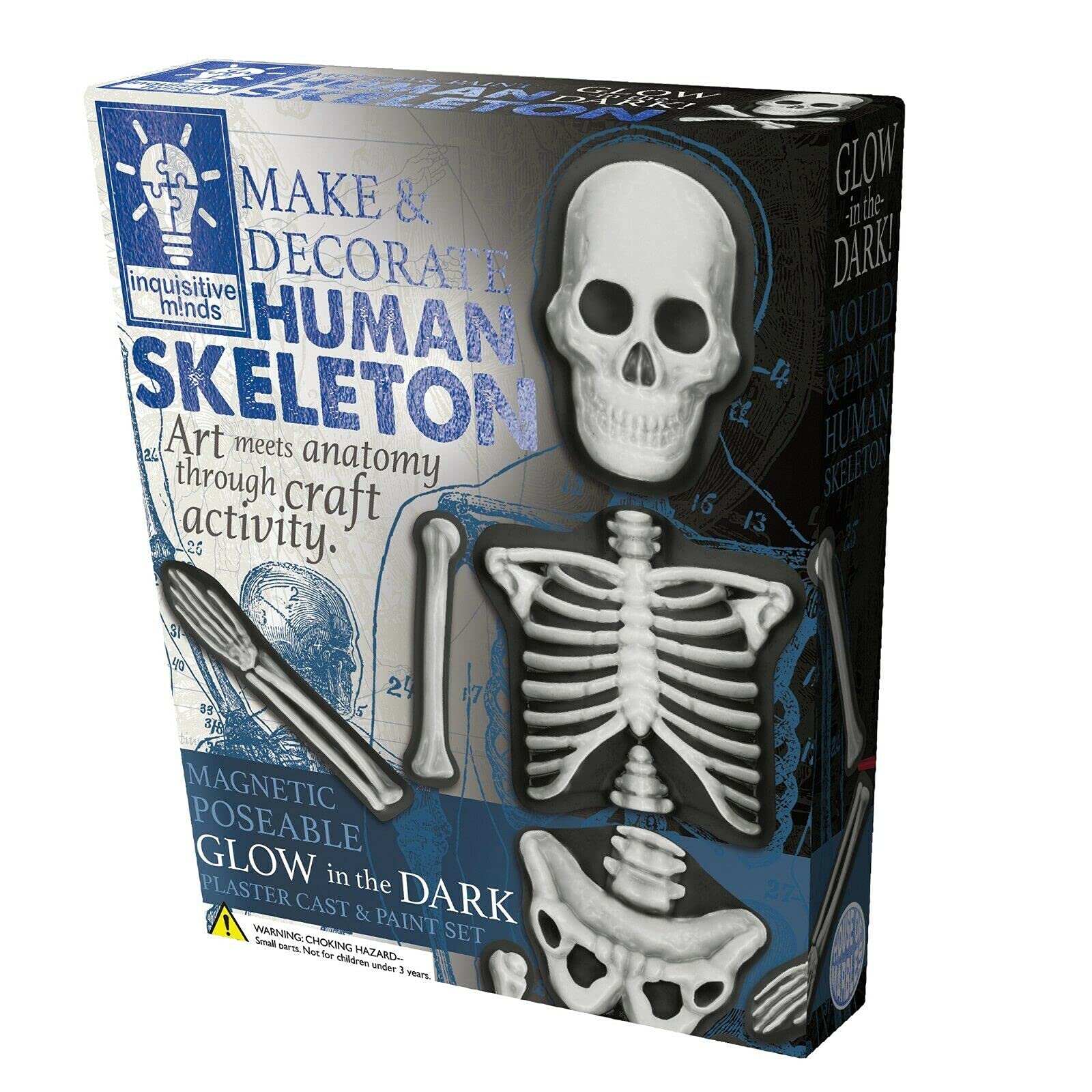 House of Marbles DIY Mold & Paint Human Skeleton Kit - Educational Science Craft for Kids, Halloween Decor & Classroom Activities - Perfect for STEM Learning & Creative Art Projects