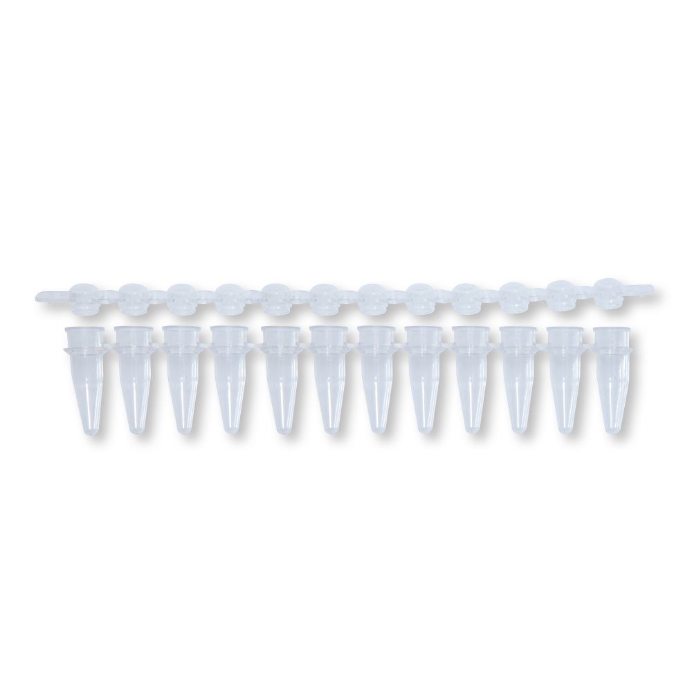 0.2ml 12-Strip PCR Tubes with Dome Caps - 80 Strips/Unit - Ideal for DNA/RNA Testing, PCR Experiments & Molecular Biology Labs
