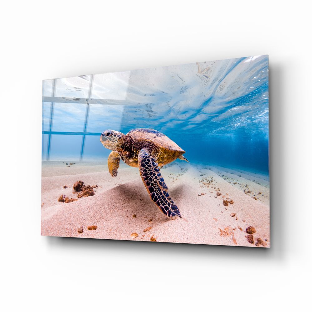 Sea Turtle Necklace - Handmade Sterling Silver Pendant with 18K Gold Plating - Perfect for Beach Lovers & Ocean-Themed Gifts