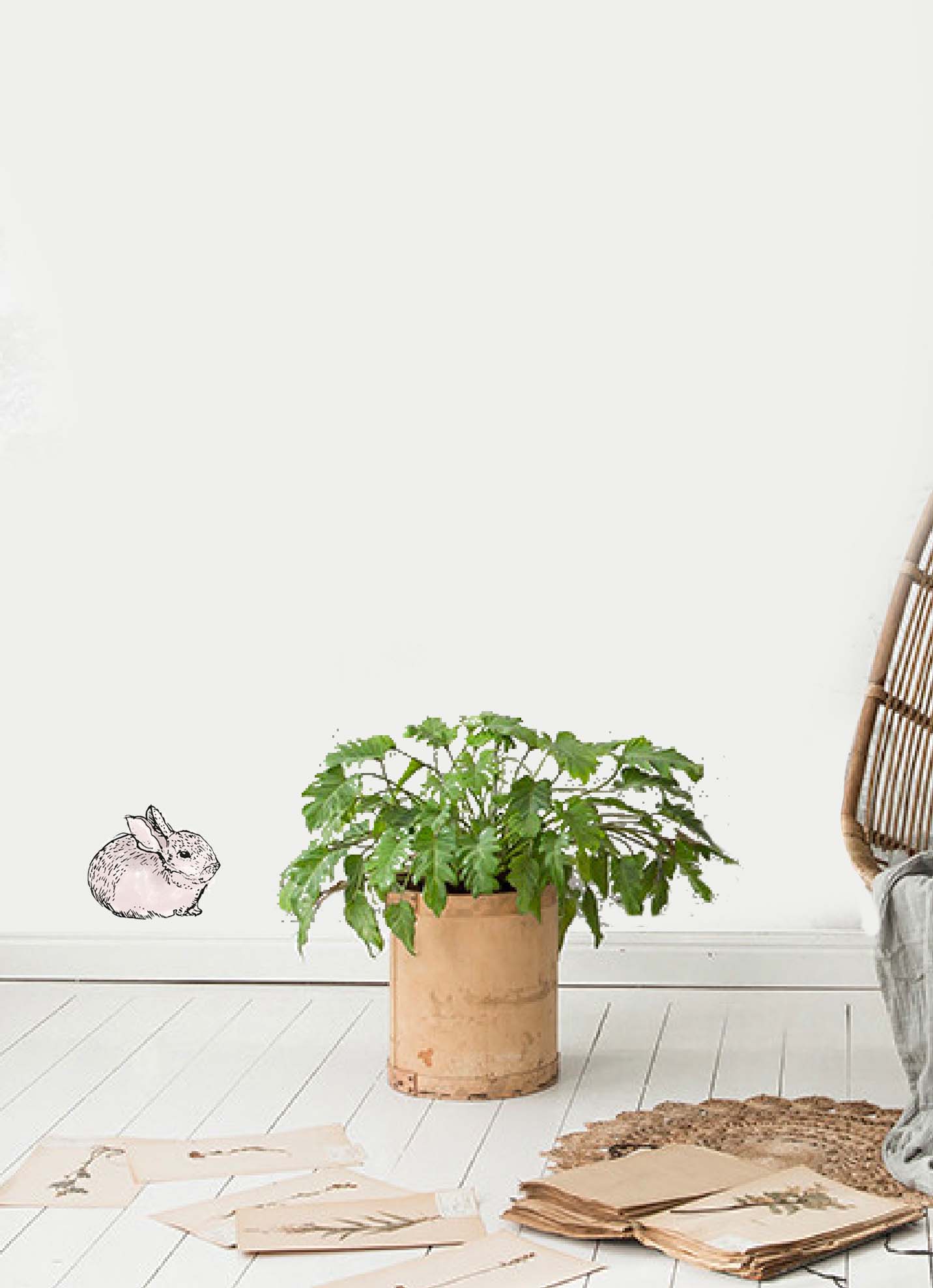 Rabbit Wall Stickers - Removable Decals for Nursery, Kids Room & Home Decor - Perfect for DIY Wall Art & Themed Bedrooms