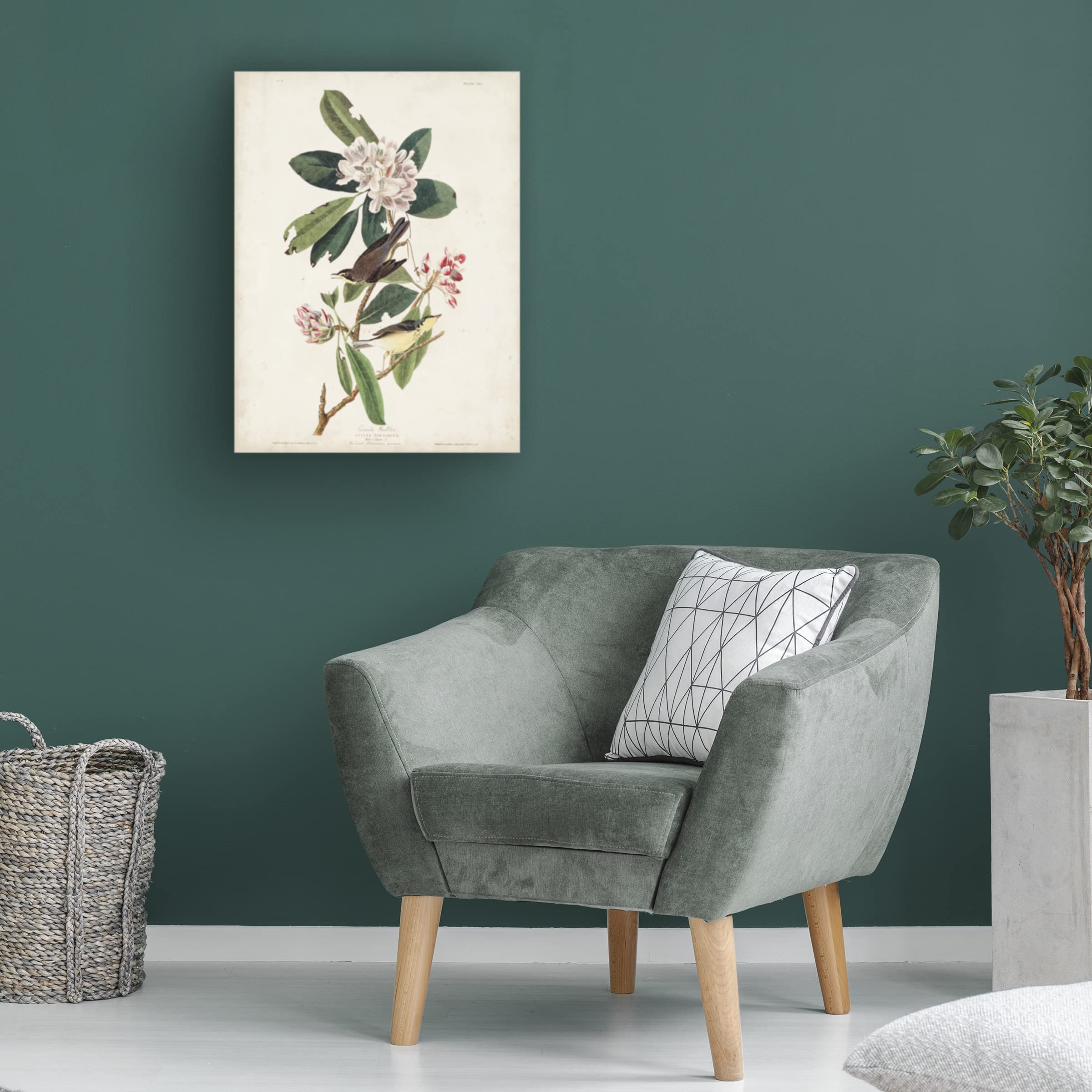 Trademark Fine Art 'Canada Warbler' by John James Audubon - 24x32 Inches Framed Canvas Wall Art - Perfect for Living Room, Bedroom & Office Decor