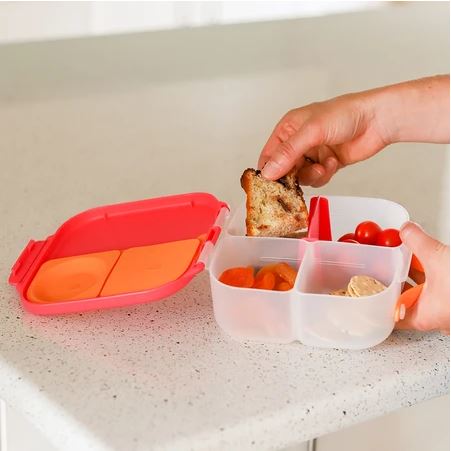 b.box MINI Lunch Box for Kids - Leak Proof, BPA Free, Insulated Food Container with Compartments | Perfect for School, Picnics, and Travel | Passion Splash Design