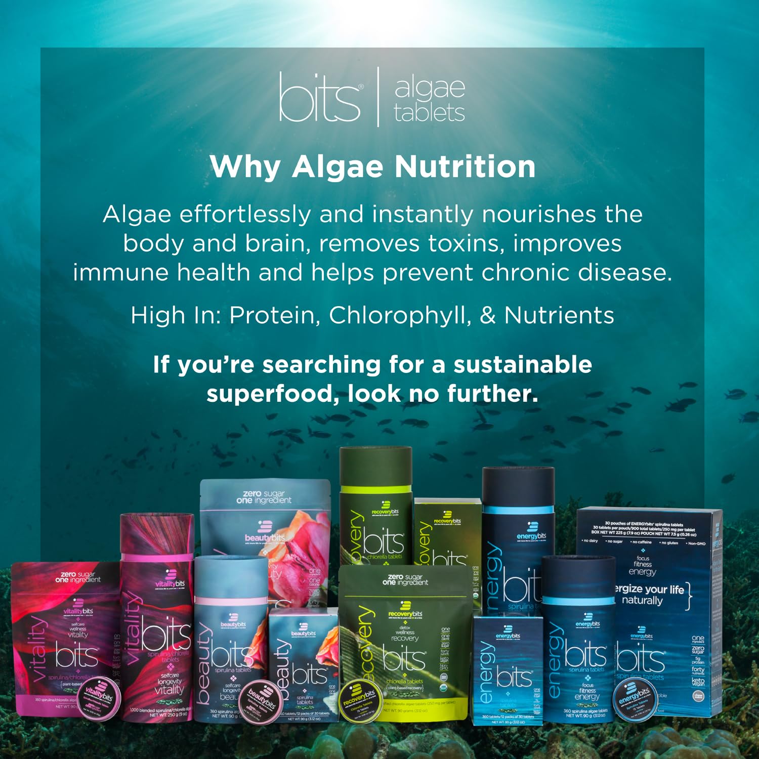 ENERGYBITS Organic Spirulina Tablets | Plant-Based Algae Superfood for Focus, Energy & Fitness | Vegan Protein with Collagen, Vitamin B12 & Omega-3 | Gluten-Free, Keto-Friendly | 1000 Tablets for Athletes, Busy Professionals & Health Enthusiasts