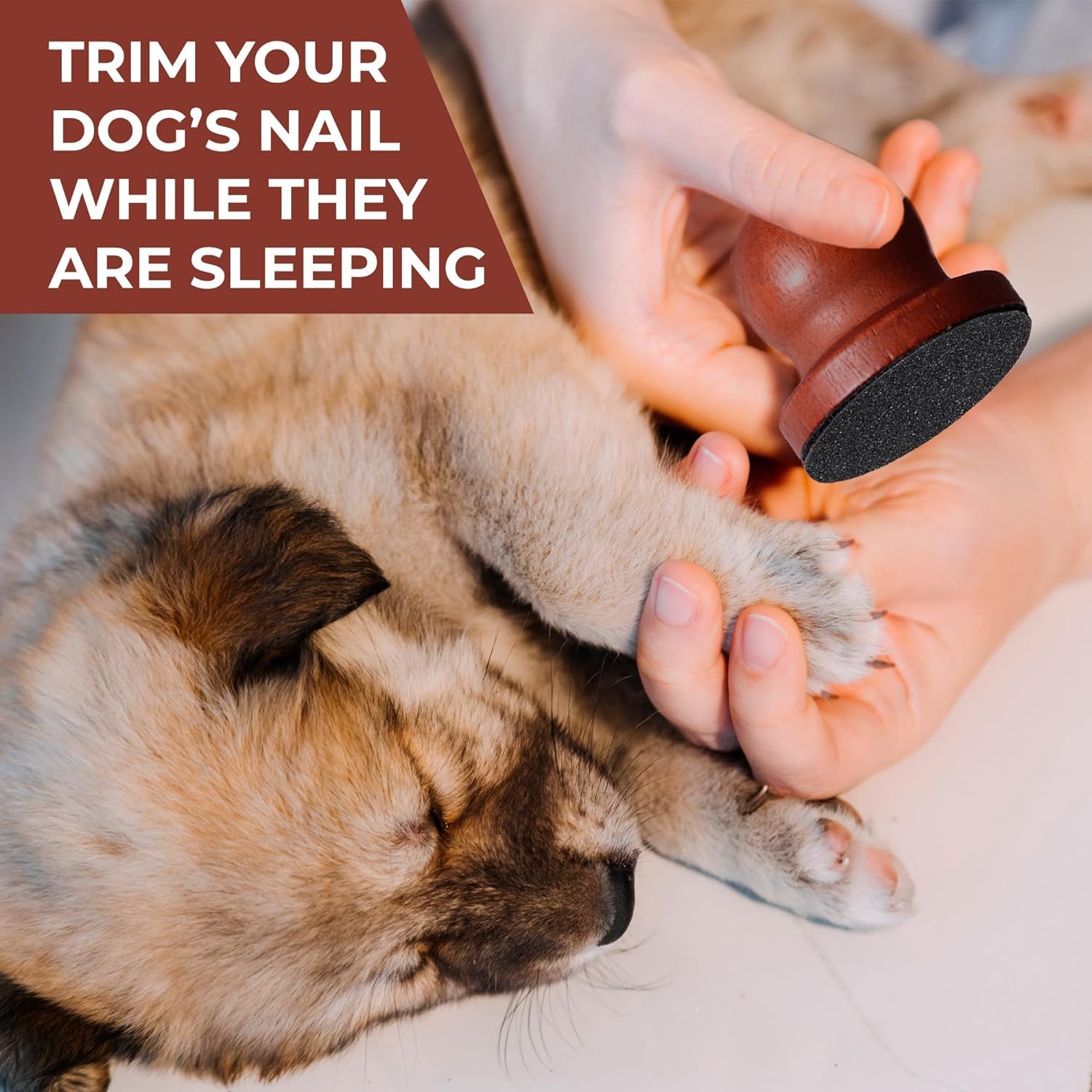 BEANPRECOY Dog Nail File with 8 Replaceable Sandpapers - Wooden Nail Scratch Board & Grinder for Dogs & Cats - Gentle Pet Nail Trimmer for Smooth Polishing - Perfect for Home Grooming & Pet Nail Care