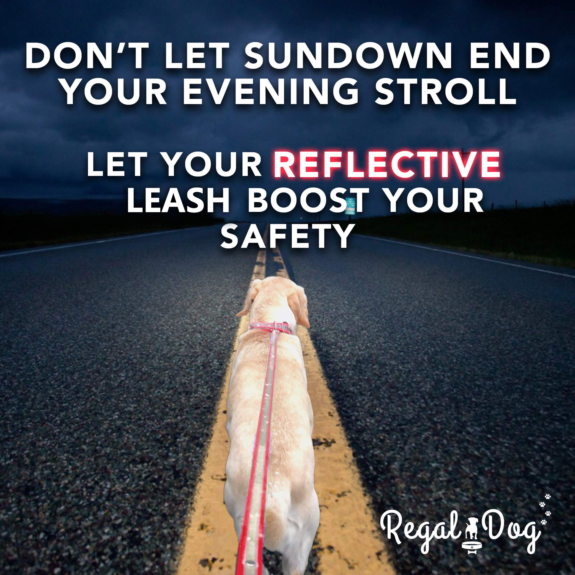 Regal Dog Products 5 ft Reflective Dog Leash - Lightweight Training Lead with Easy Collar Hook for Small, Medium, Large & XL Dogs (Orange) | Perfect for Night Walks, Jogging & Outdoor Adventures