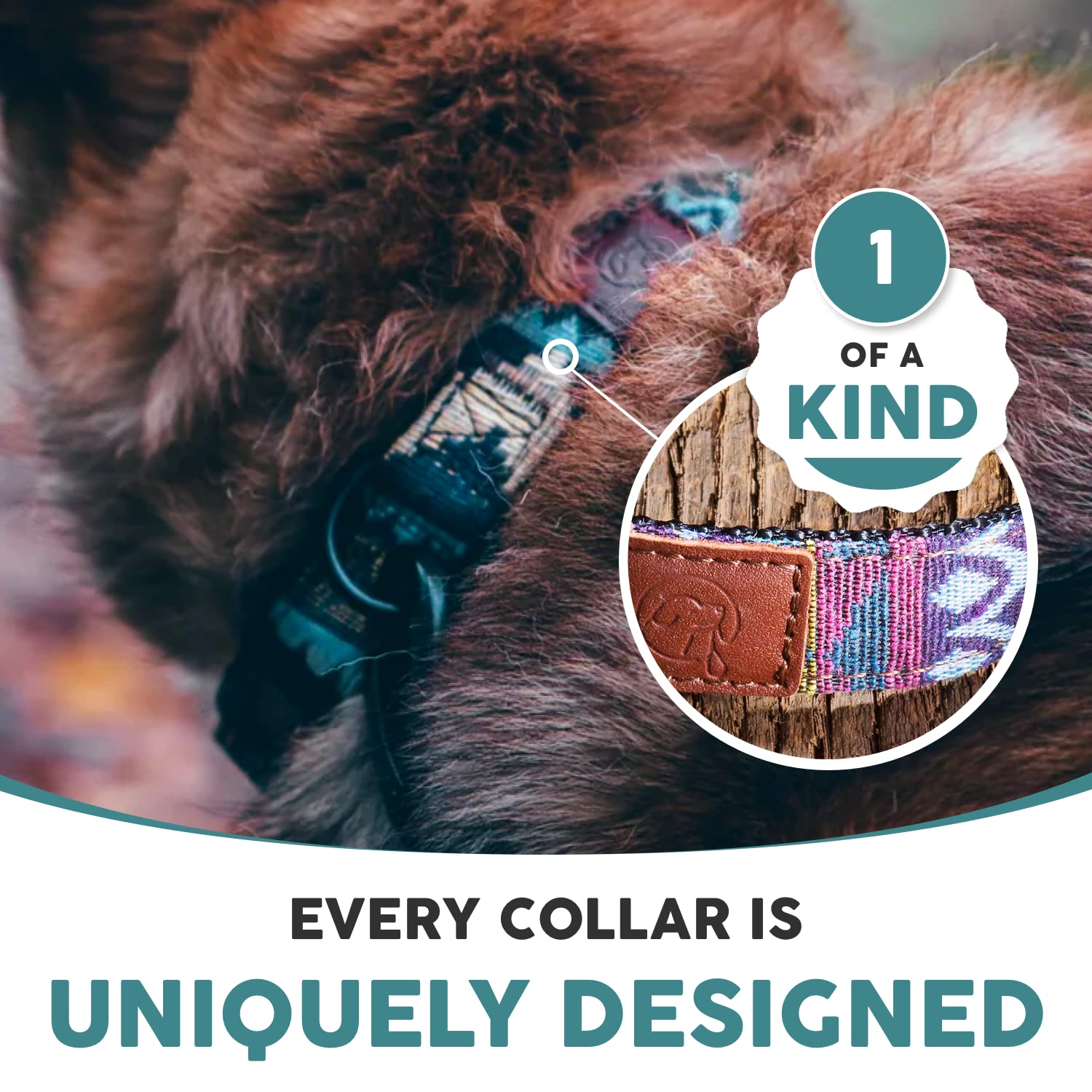 Embark Urban Dog Collar - Stylish & Durable Nylon Collar for Medium Dogs, Comfortable Adjustable Pet Collar with Strong Buckles - Perfect for Daily Walks, Training & Outdoor Adventures