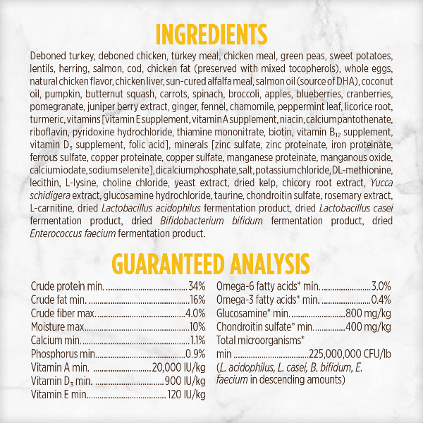 Nutrience Grain Free Turkey, Chicken & Herring Small Breed Dry Dog Food - Premium Protein Rich Kibble for Small Dogs - Perfect for Active Puppies & Adult Dogs at Home or Travel