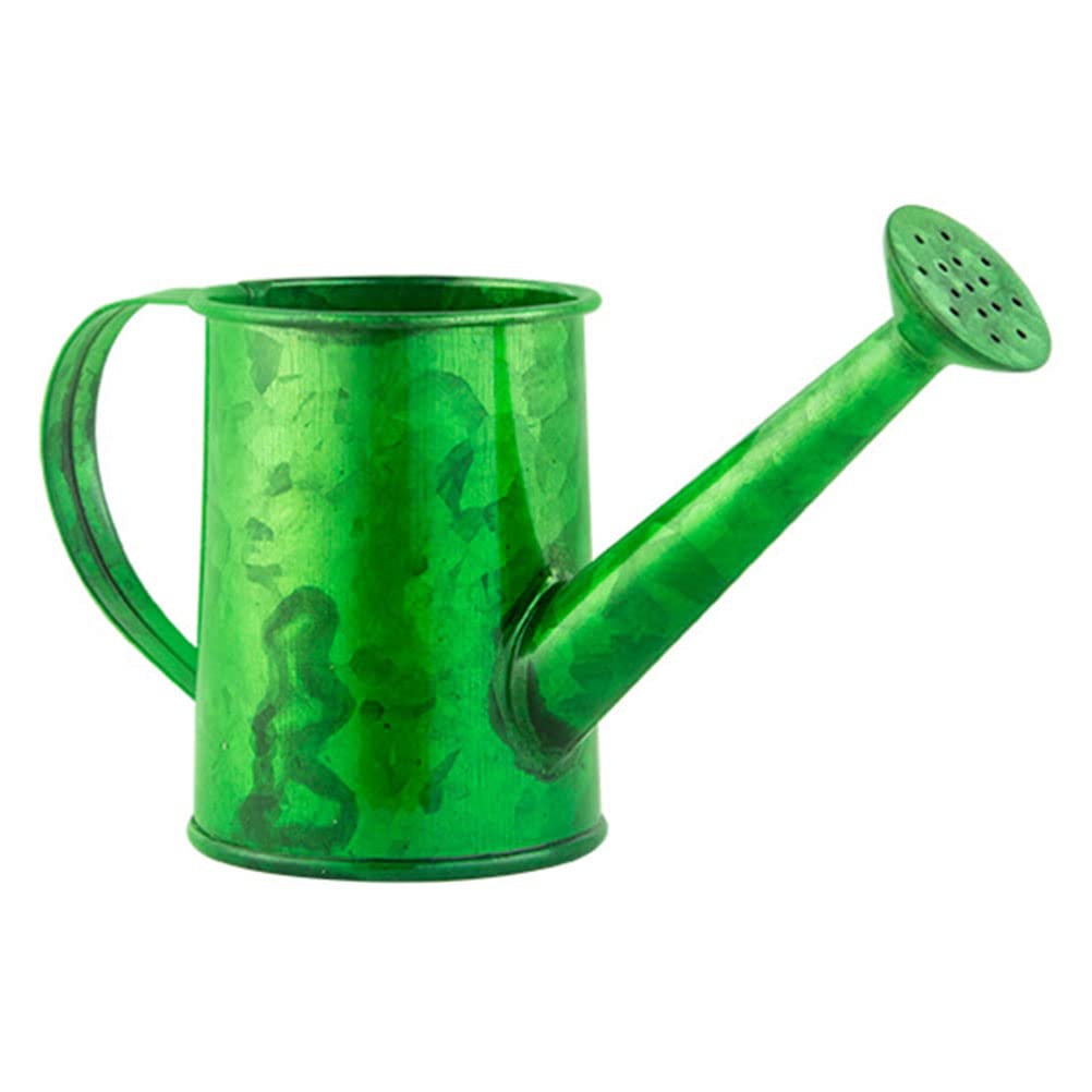 Zerodeko Portable Gardening Watering Can - 1 Gallon Lightweight Outdoor Watering Kettle with Long Spout for Plants, Flowers, and Indoor/Outdoor Gardens - Perfect for Home, Balcony, and Backyard Use