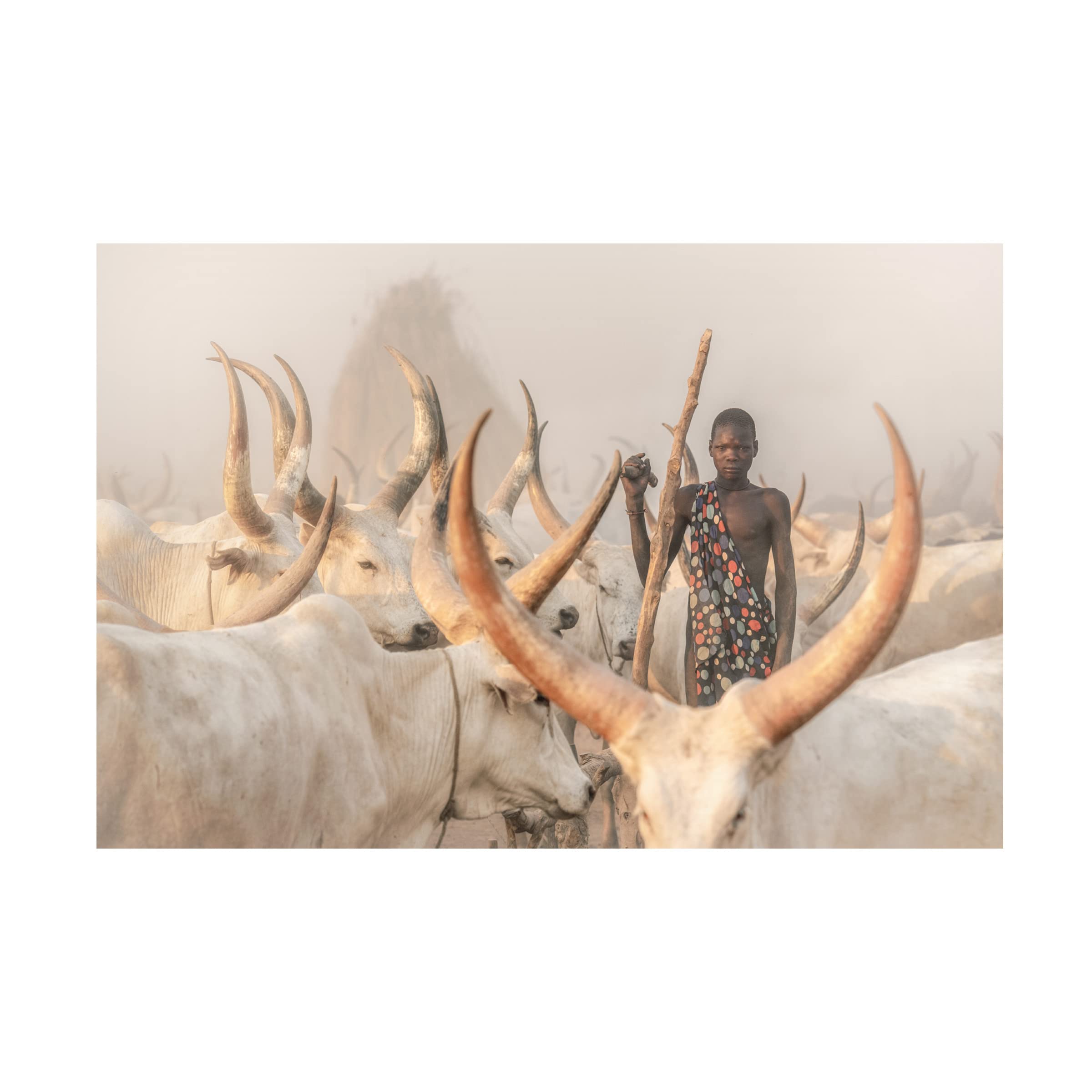 Framed Mundari Herder Canvas Art Print by Trevor Cole - African Tribal Wall Decor for Living Room, Bedroom & Office