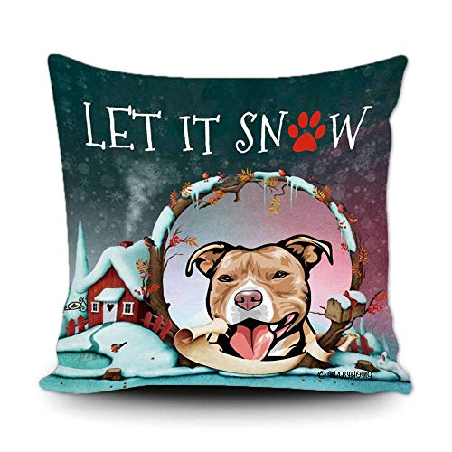 Pit Bull-6
