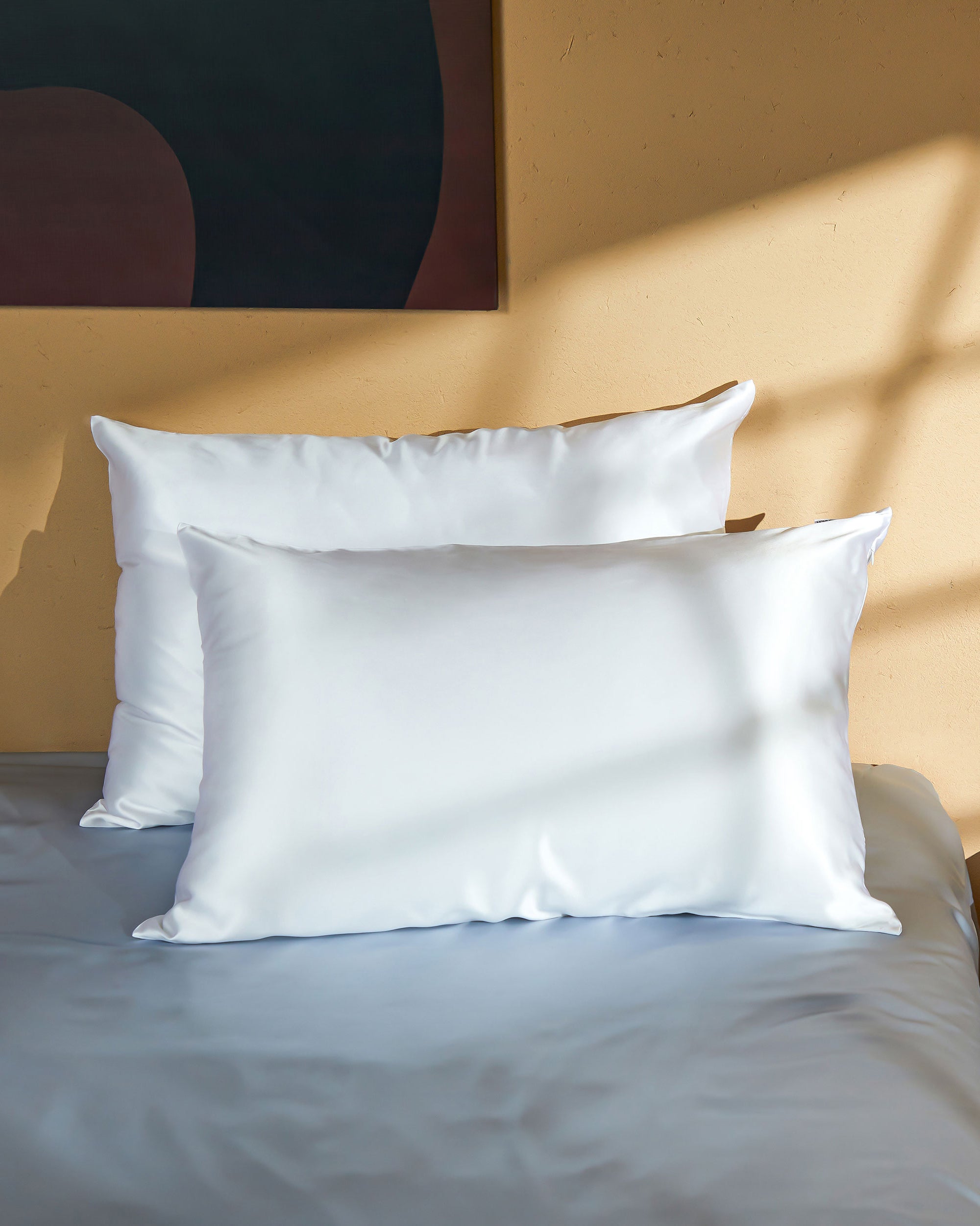 22MM Silk Pillowcase Set of 2 - Premium Zippered Silk Pillow Covers for Hair & Skin Care - Perfect for Travel, Home & Luxury Bedding
