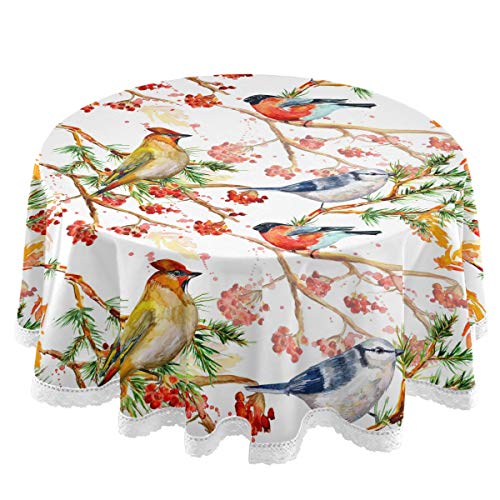 S Cardinal and Chickadee