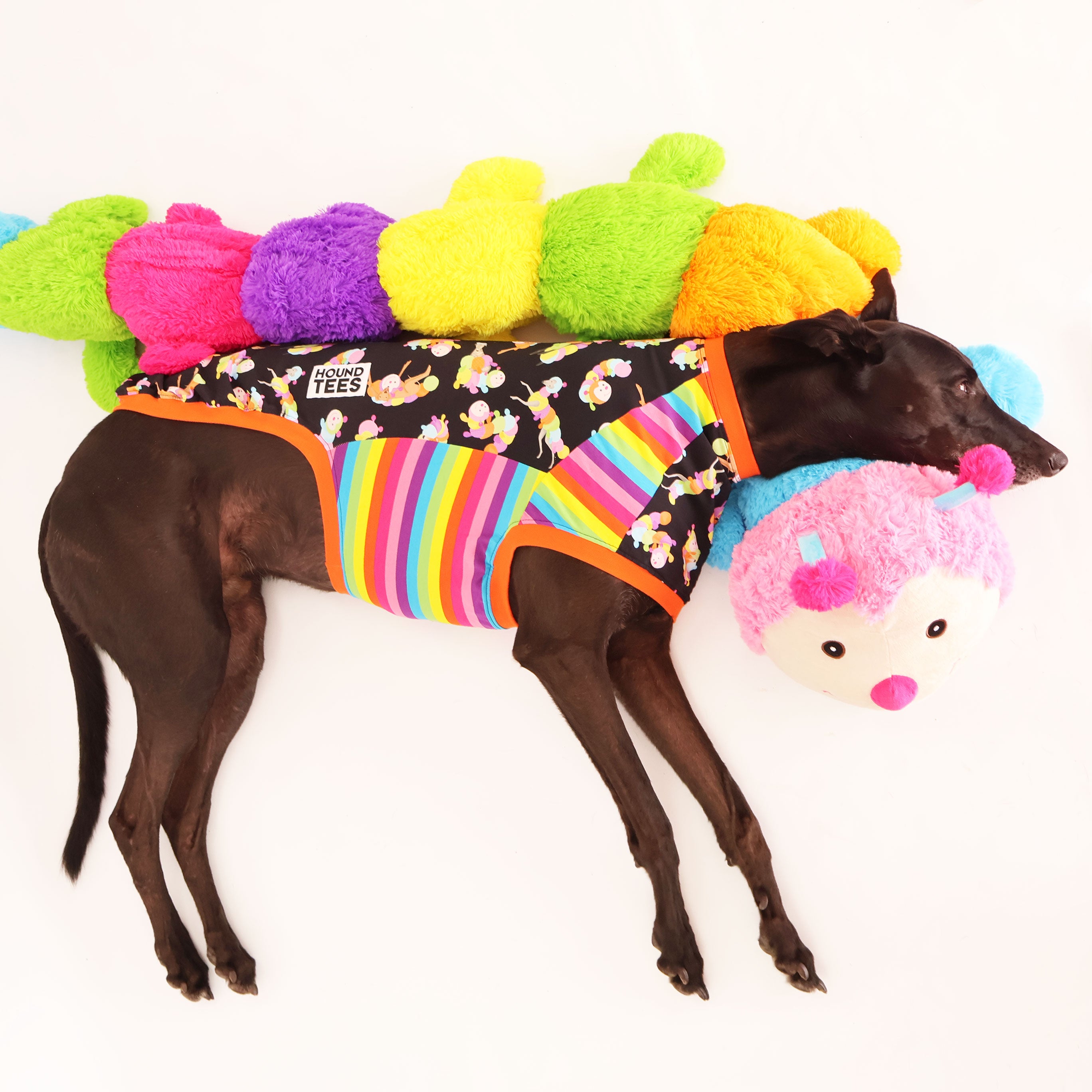 Greyhound Long Sleeve Dog T-Shirt - Soft Cuddlepillar Design for Comfort & Style - Perfect for Dog Lovers & Pet Fashion
