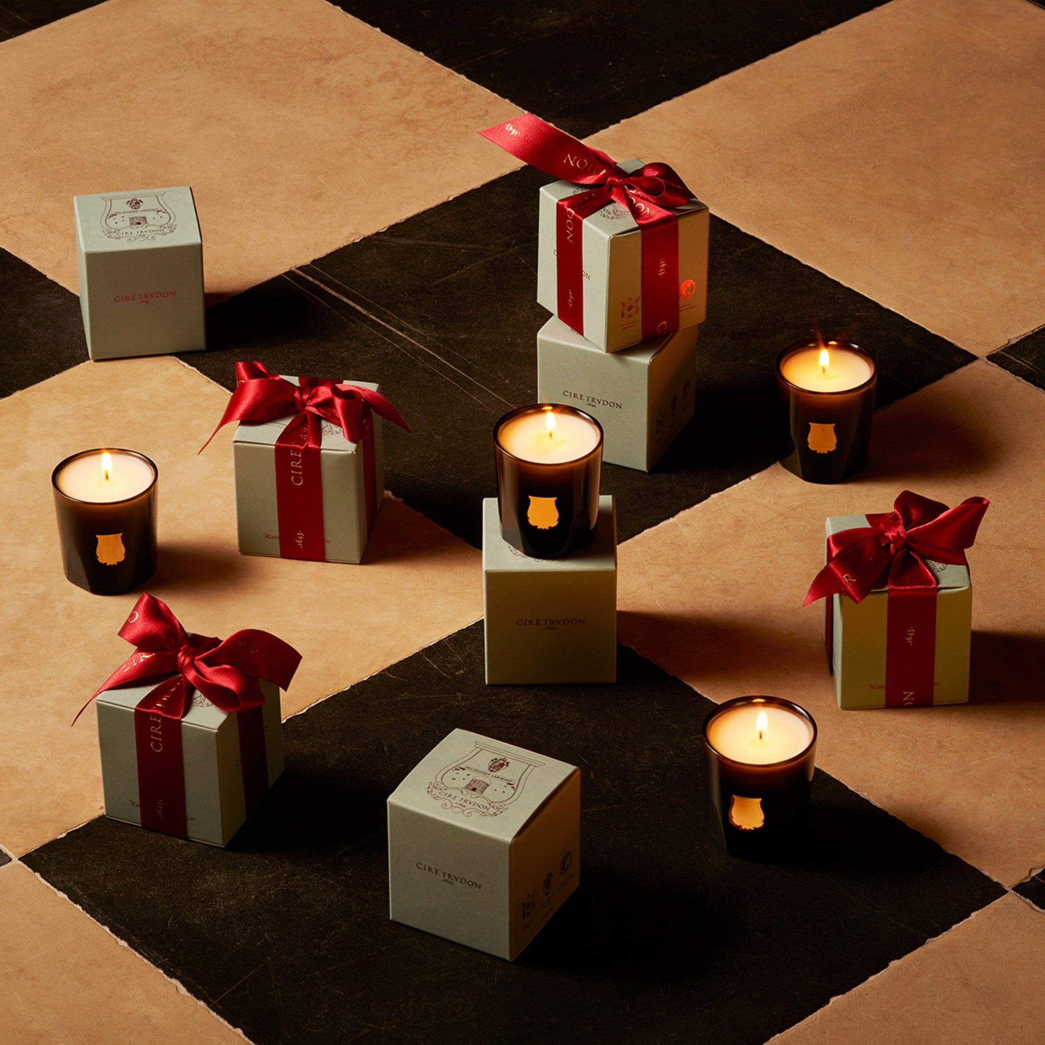 Luxury Cire Trudon Ernesto Scented Candle - Handcrafted in France with Premium Fragrance for Home Decor, Romantic Dinners & Relaxation