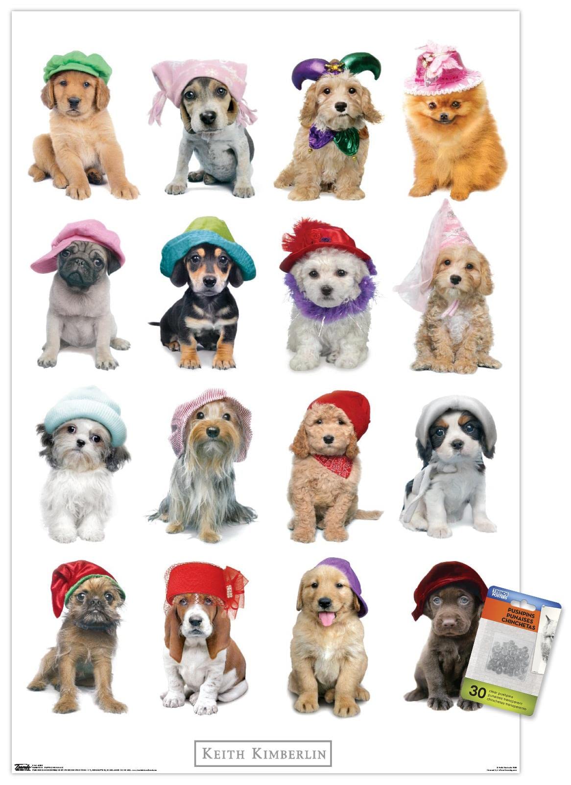 Keith Kimberlin - Puppies With Hats Wall Poster with Push Pins | Cute Dog Art Print for Home & Office Decor | Perfect for Living Room, Bedroom, Nursery, or Gift