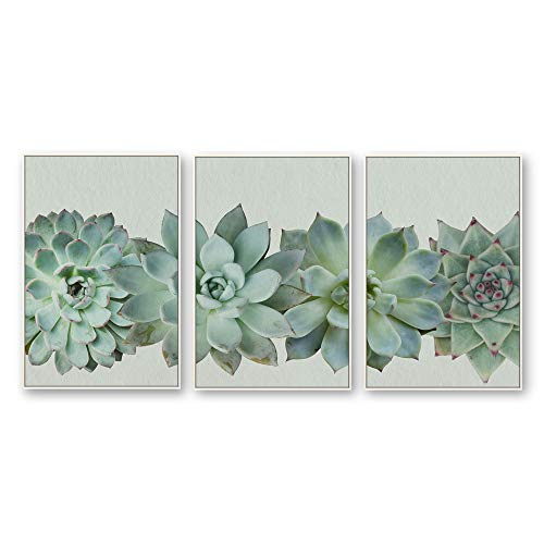 Plants-1909-n23