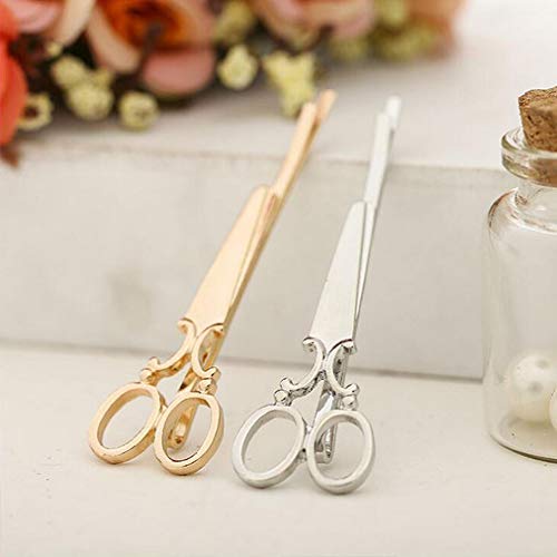 Professional Hair Stylist Gift Set - Stainless Steel Hair Cutting Scissors, Barrettes & Hair Pins for Women, Hairstylists & Cosmetologists - Perfect Christmas & Birthday Gifts for Salon Professionals & Beauty Lovers - Great for Styling, Cutting & Hair Accessories in Salons & Home Use