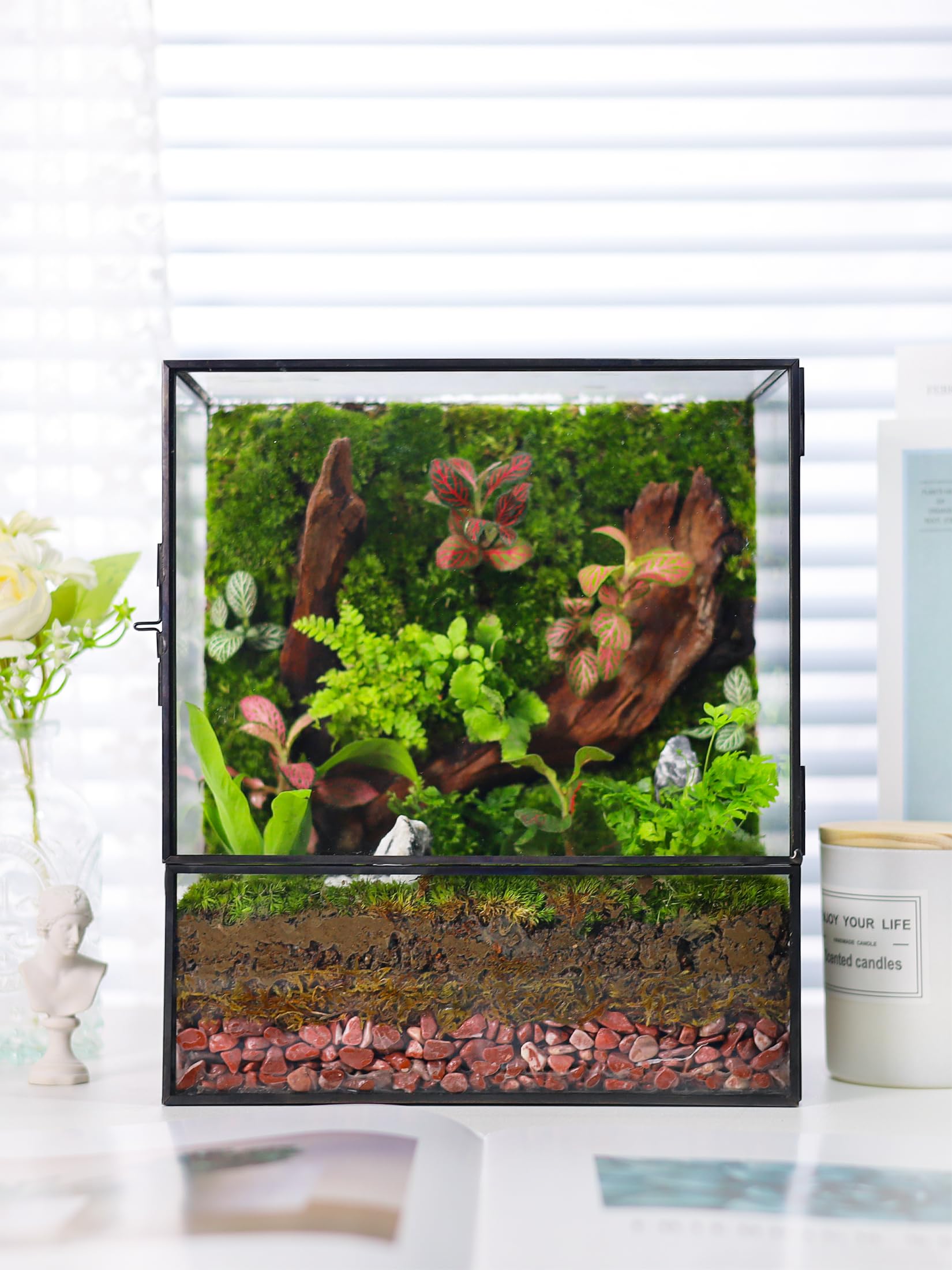 Glass Planter Terrarium with Door - Geometric Glass Greenhouse for Moss & Succulents - Indoor Tabletop Centerpiece Rectangle Black (Terrarium Only) - Perfect for Home Decor, Office Desk & Gift Ideas