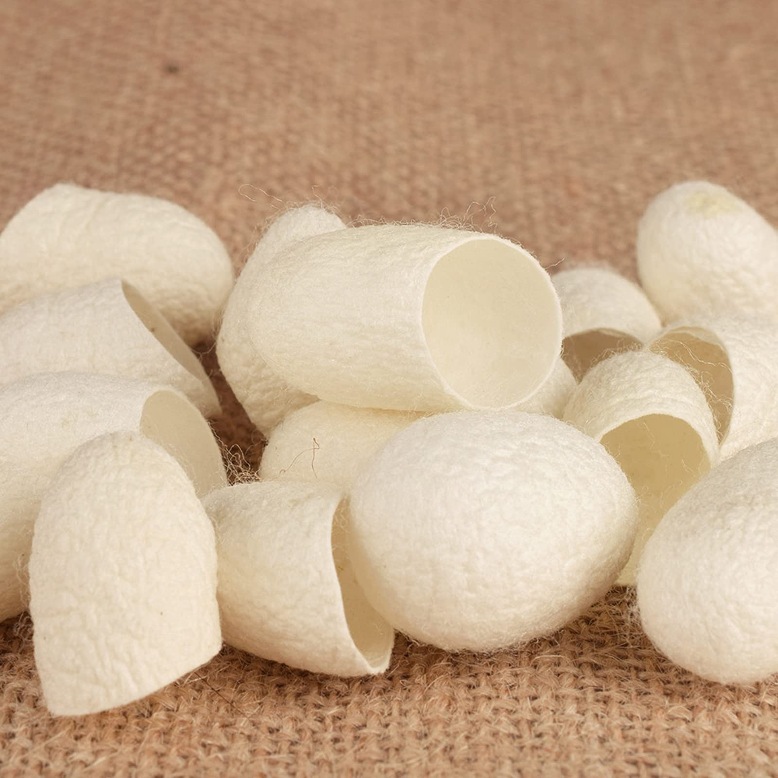 Homgee 100pcs Natural Silkworm Cocoon Exfoliating Balls - Gentle Facial Scrub for Deep Cleansing & Blackhead Removal | Perfect for Daily Skincare Routine & Spa Treatment