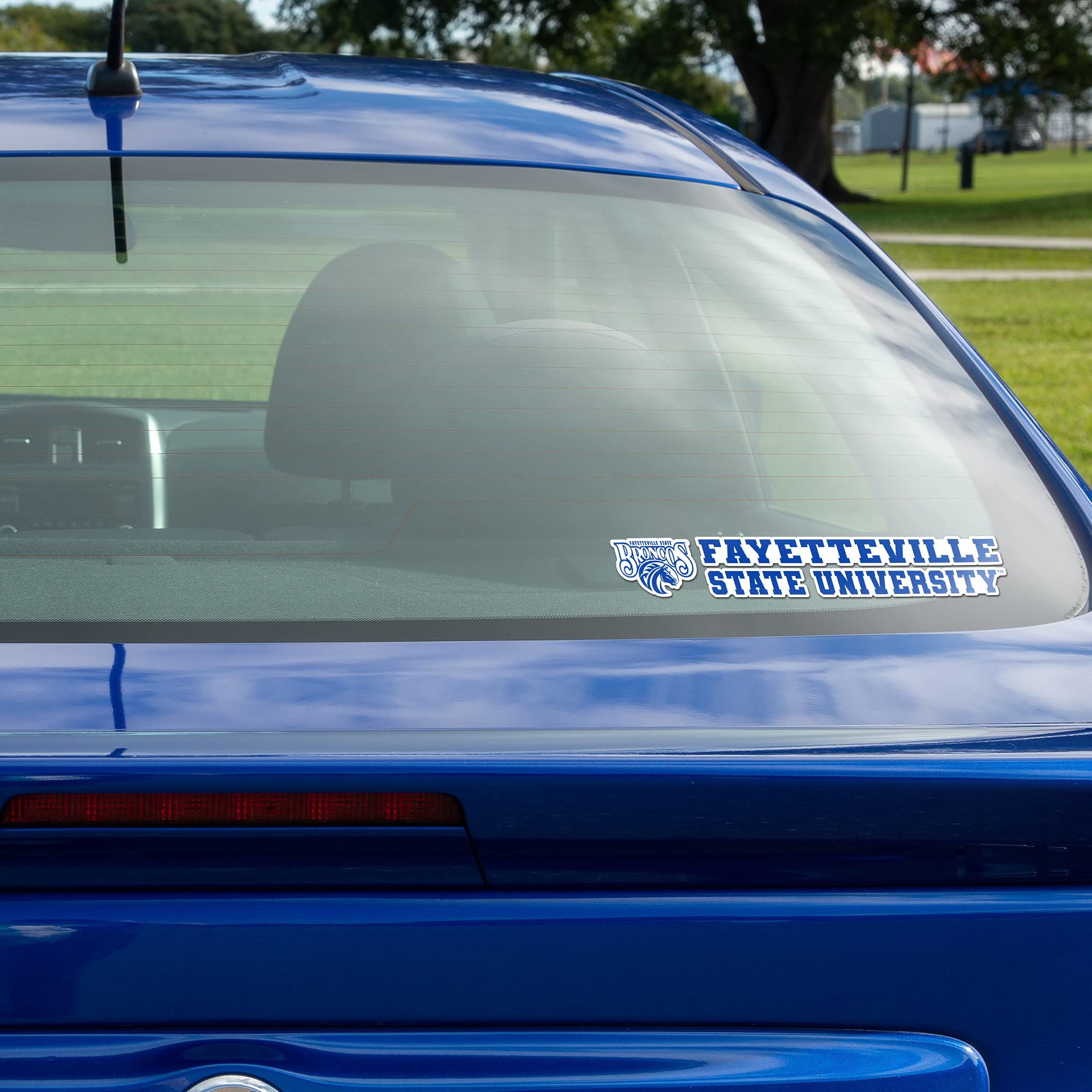 Fayetteville State University FSU Broncos Logo Vinyl Decal Sticker (8 Inch) - Desert Cactus Design for Laptop, Water Bottle, Car & Scrapbook - Perfect for School Spirit, College Pride & Fan Gifts
