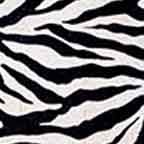 Zebra Stripe 1