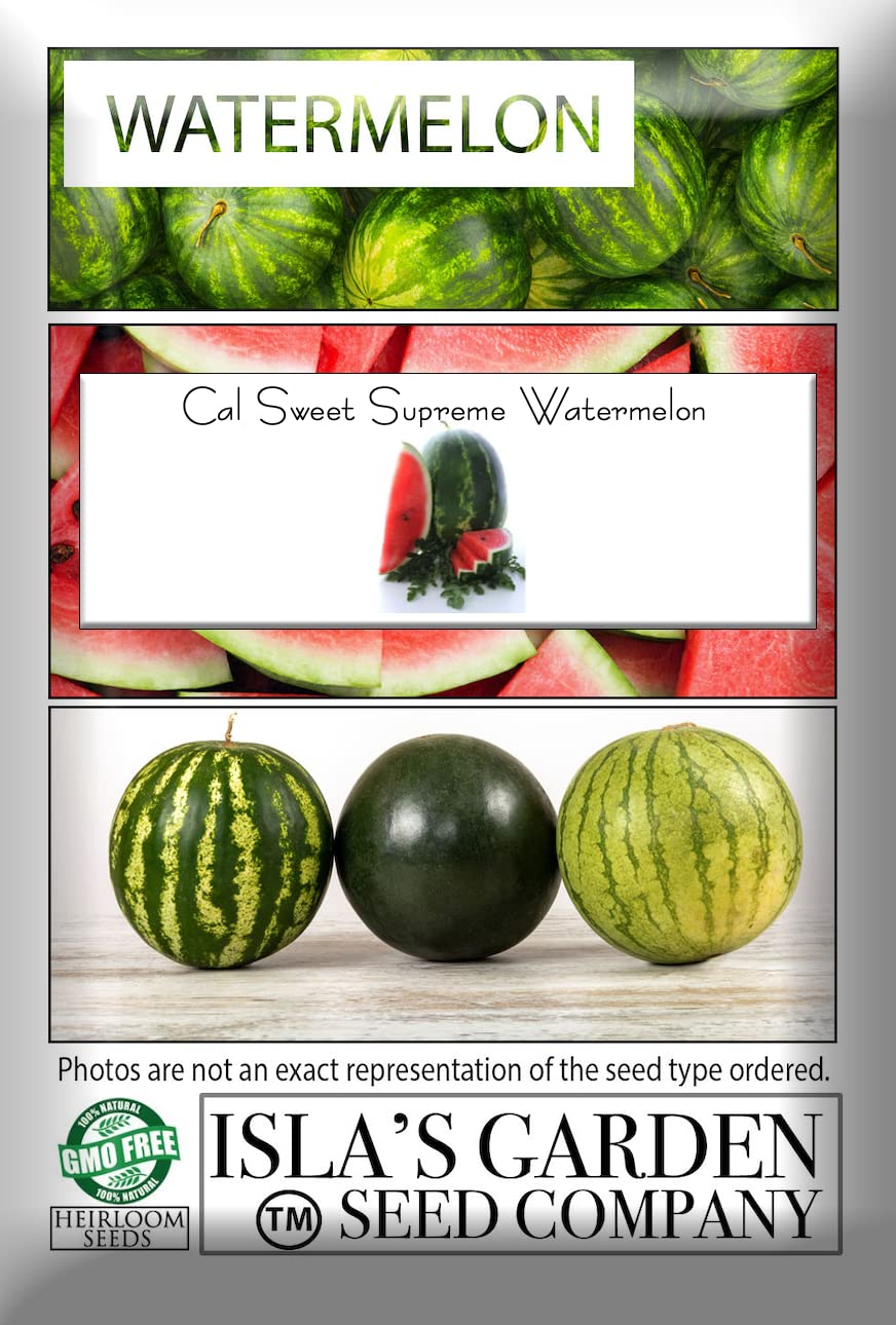 Cal Sweet Supreme Watermelon Seeds for Planting - 125+ Heirloom, Non-GMO Seeds (Citrullus lanatus) by Isla's Garden Seeds | Perfect for Home Gardens, Backyard Farming & Organic Gardening