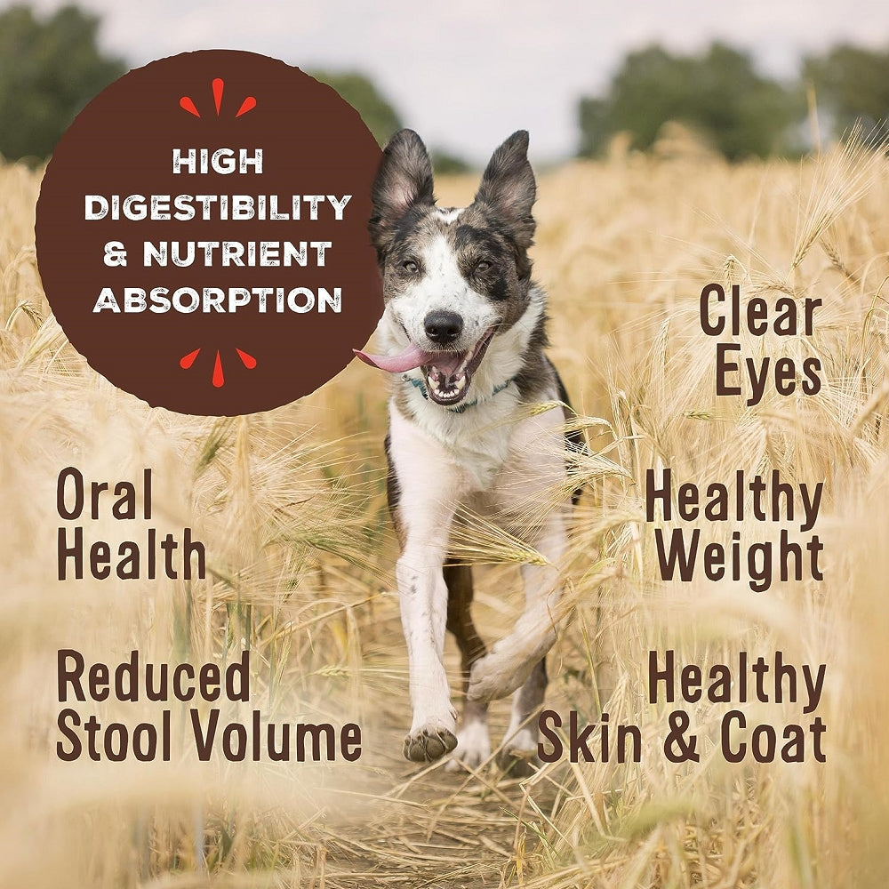 Freeze Dried Chicken Dog Food - High Protein, Grain-Free, All-Natural Pronto Treats for Training, Snacks & Outdoor Adventures