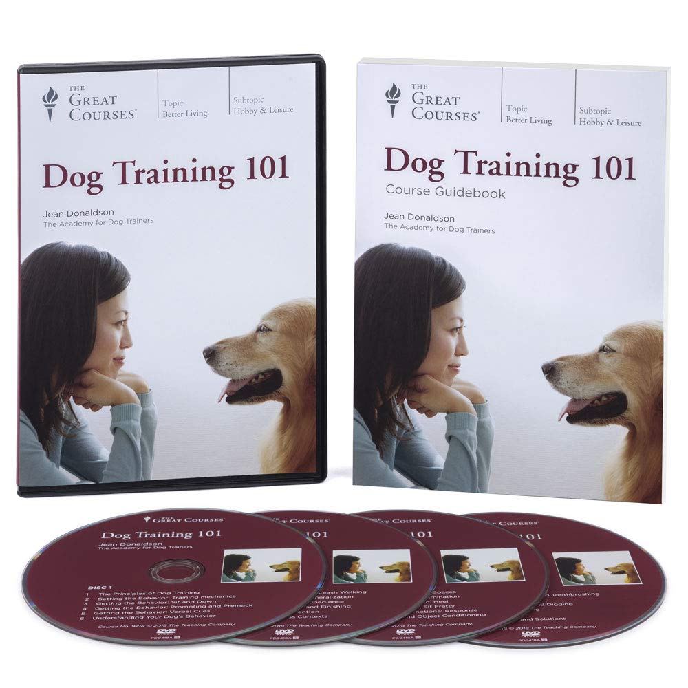 Dog Training 101 - Complete Guide for Puppy & Adult Dog Obedience | Housebreaking, Commands & Behavior Correction | Perfect for New Pet Owners & Training at Home