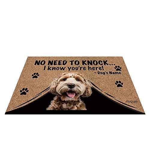 Labradoodle