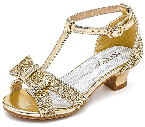 Shiny Gold Glitter