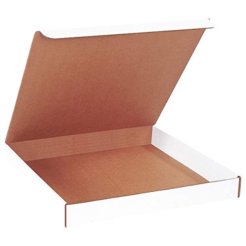 Single Wall Literature Mailers 16 Inch - Case of 50 | Perfect for Shipping Documents, Brochures & Catalogs | Durable Mailing Envelopes for Business & Office Use
