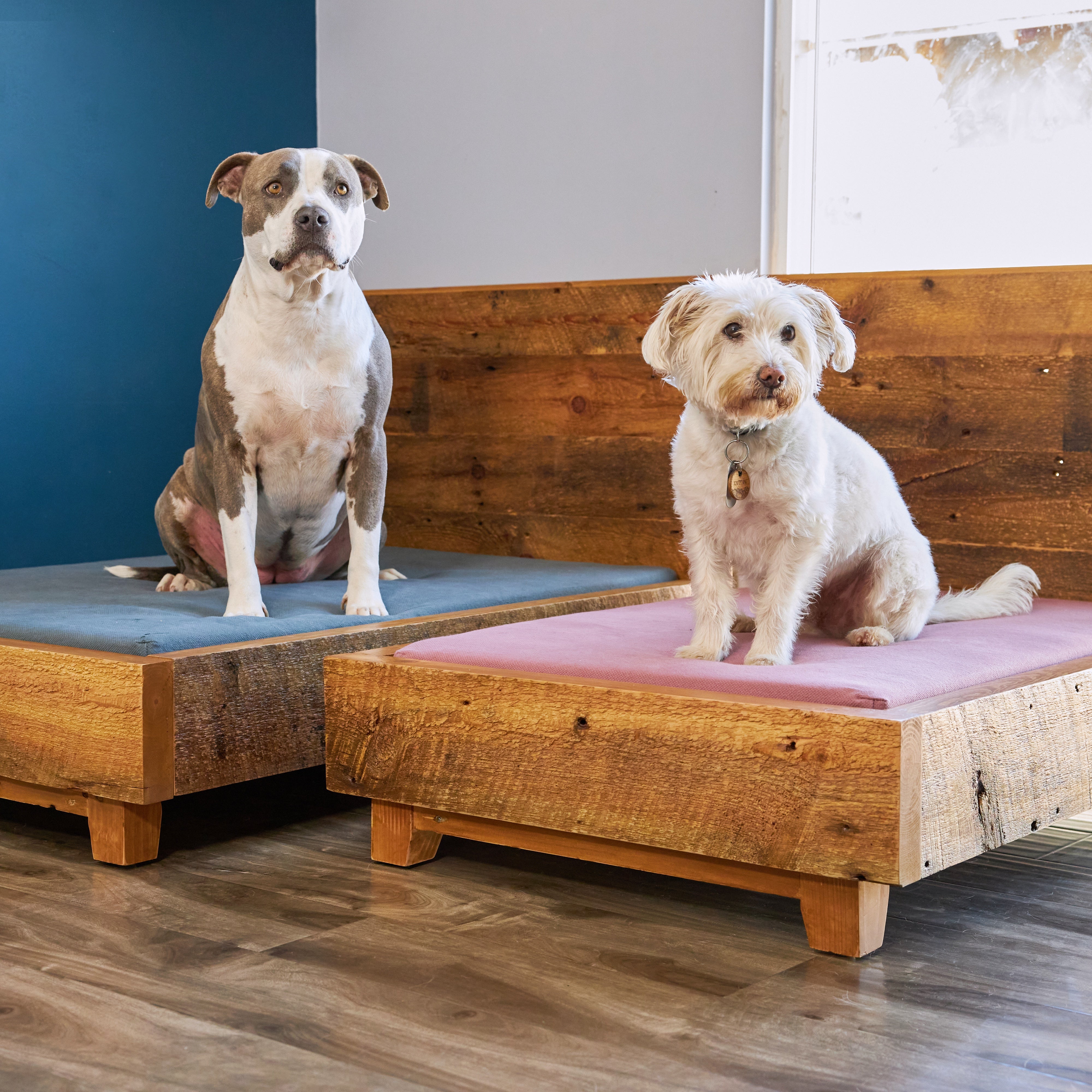 Premium Elevated Dog Bed Frame - Orthopedic Support for Large & Small Dogs - Indoor & Outdoor Use - Perfect for Kennels, Crates, and Home Comfort