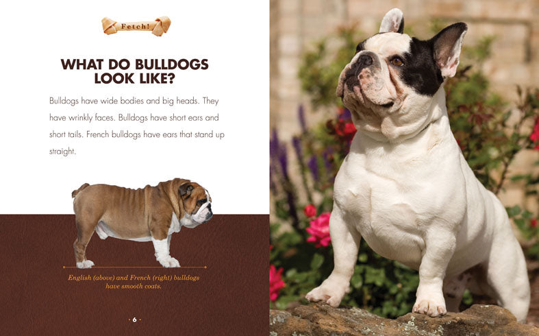 Bulldogs: A Comprehensive Guide - ISBN 9781608183616 - Perfect for Dog Lovers & Breed Enthusiasts