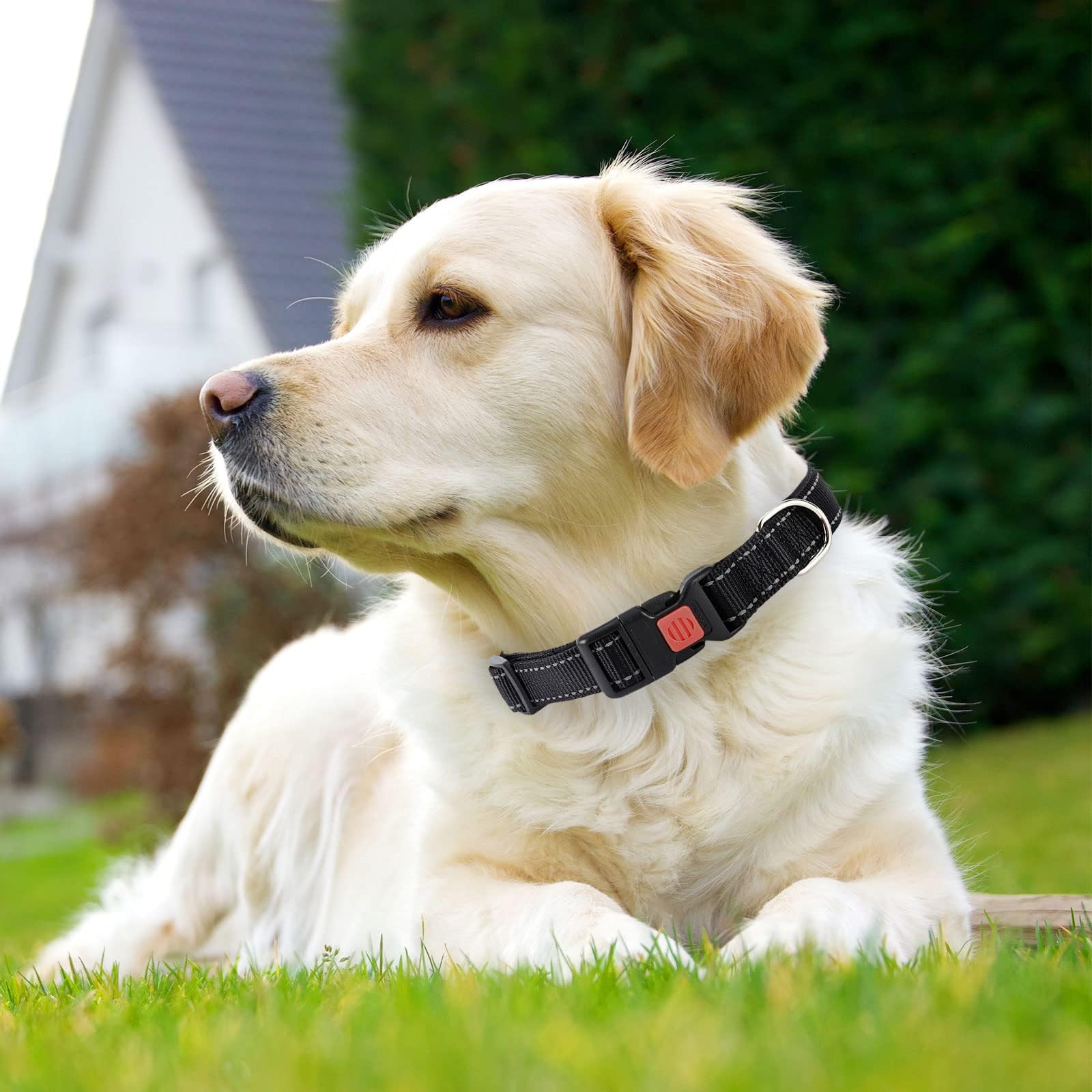 Reflective Adjustable Dog Collar - Ultra Soft Breathable Neoprene Pet Collar with Quick Release Buckle for Small Medium Large Dogs - Perfect for Night Walks, Jogging & Outdoor Adventures