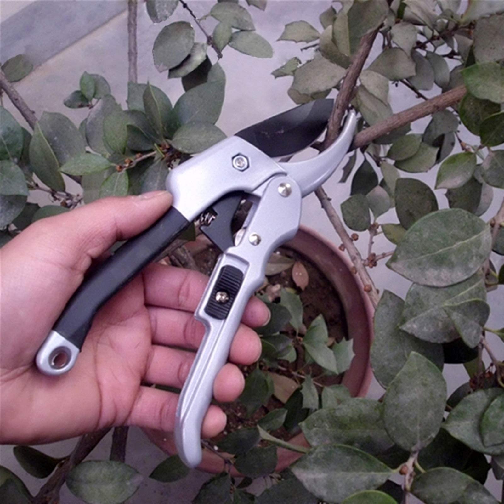 Professional 20cm Ratchet Garden Shears - Heavy Duty Plant Trimming, Horticulture Hand Pruner, Orchard Pruning Scissor, Anvil Branch Cutter for Shrubs & Gardening | Ideal for Landscaping, Hedge Trimming & Home Garden Maintenance