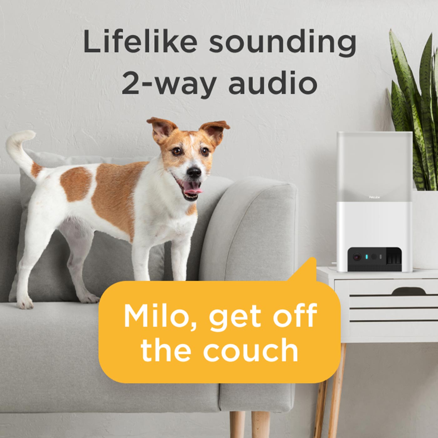 Petcube Bites 2 Lite - WiFi Pet Camera with 2-Way Audio, Automatic Treat Dispenser & Night Vision for Dogs & Cats - Monitor & Play with Pets Remotely at Home or Office