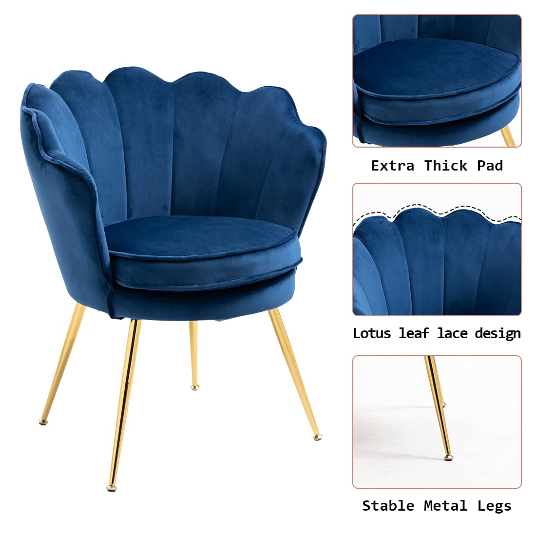 Modern Velvet Accent Chairs Set of 2 - Shell Shaped Upholstered Armchairs with Golden Metal Legs for Bedroom, Living Room & Dining Room - Comfy Vanity Makeup Desk Chair (Dark Blue) | Perfect for Home Office, Guest Seating & Boudoir Decor