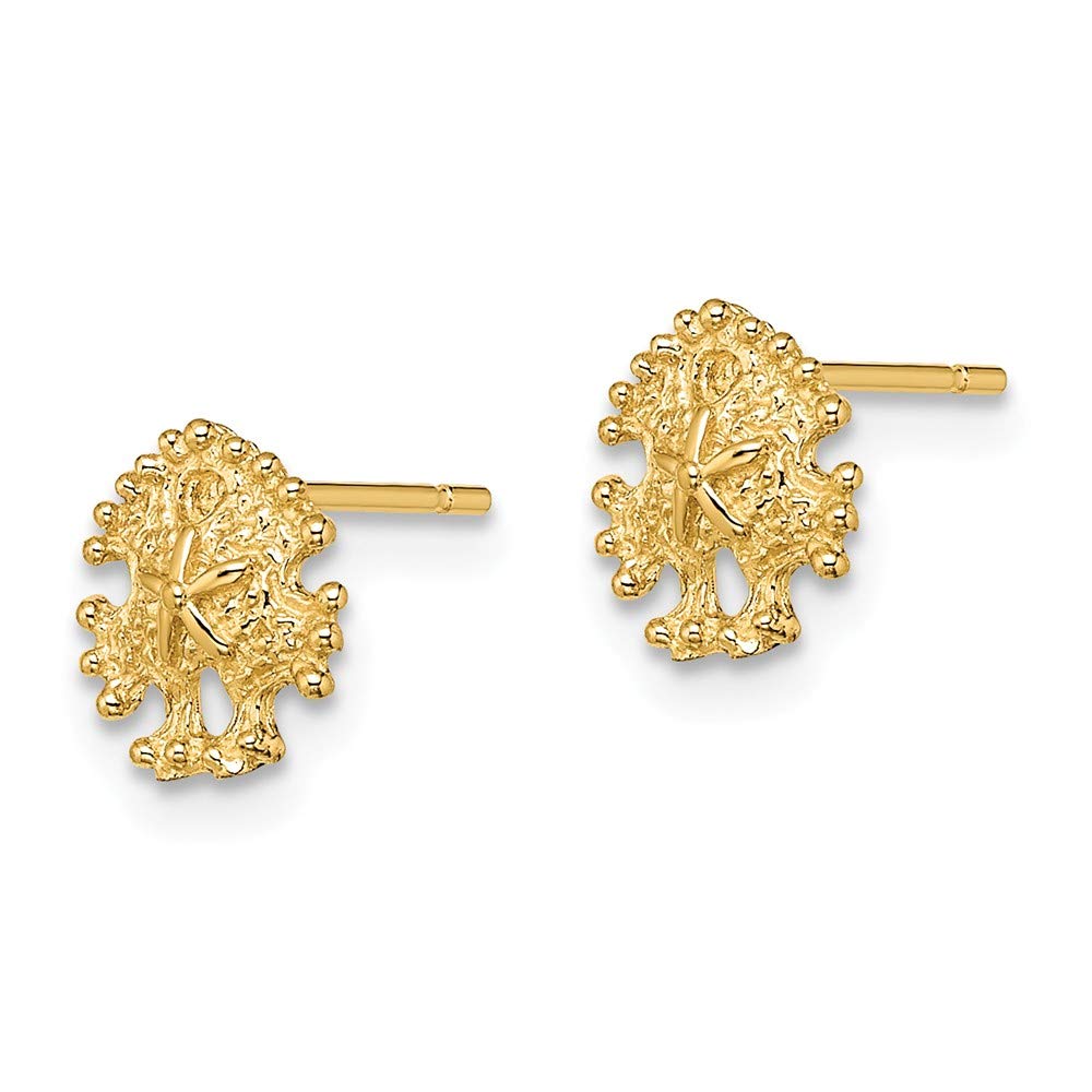 14K Yellow Gold Mini Sand Dollar Post Earrings – Dainty Beach-Themed Jewelry for Women | Perfect for Summer, Vacations & Coastal Weddings