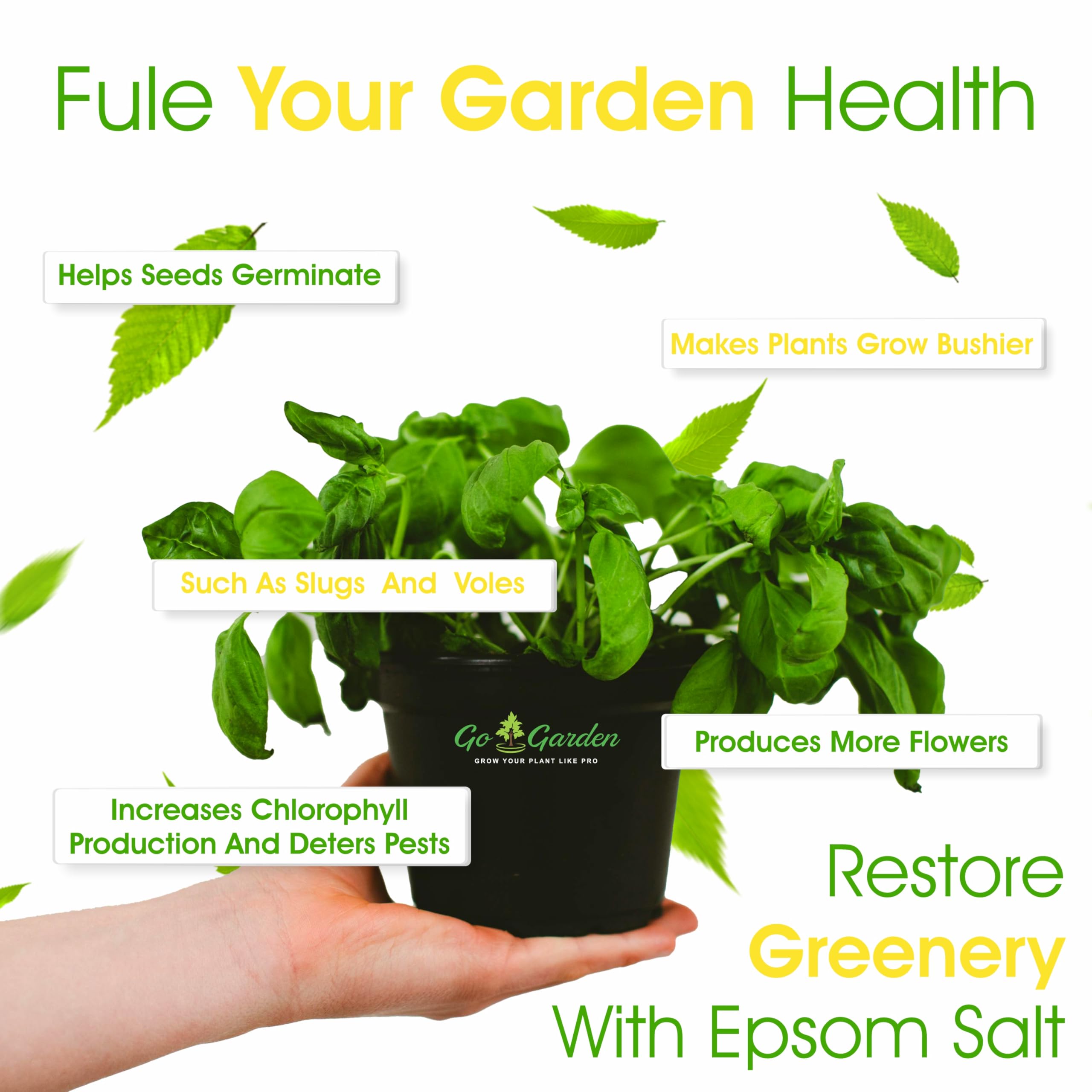 Organic Epsom Salt Magnesium Sulfate for Plants - 950g Powder for Vegetable Garden, Terrace Plants & Nutrient Boost | Improves Growth, Green Leaves & Soil Health | Perfect for Home Gardening, Hydroponics & Organic Farming