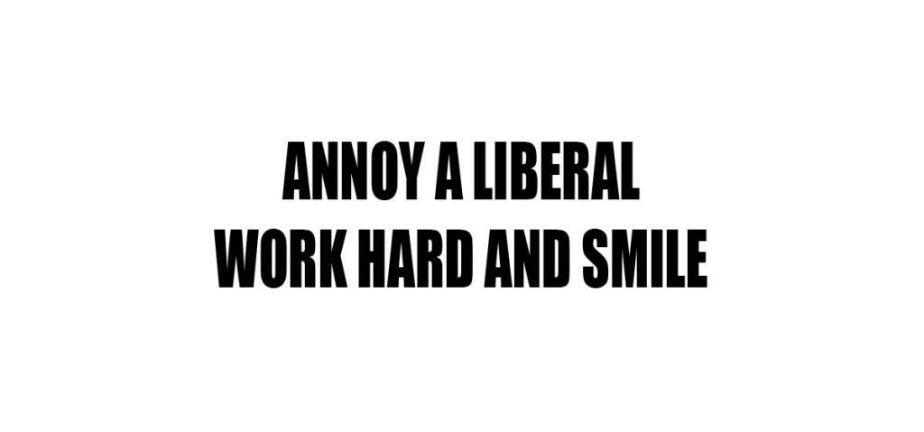 Annoy A Liberal Work Hard and Smile Decal - Funny Political Sticker for Car, Laptop, Wall - Great for Conservative Gifts & Office Decor